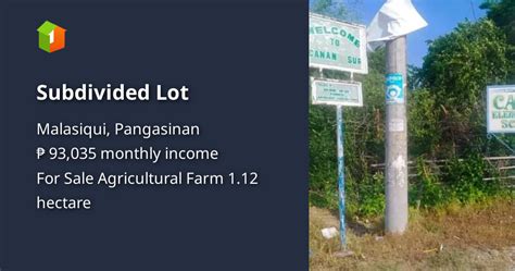 Zone values per sqm lot in MALASIQUI, Pangasinan.